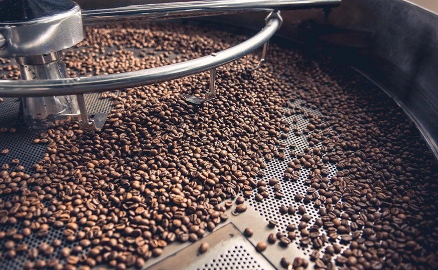 Beneficiamento eLimpeza&nbsp;