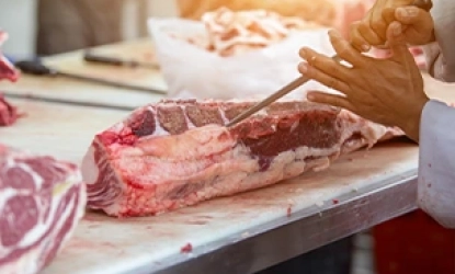 Matadouros e Frigoríficos