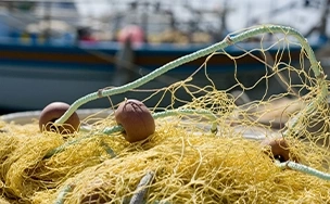 Indústrias Pesqueiras